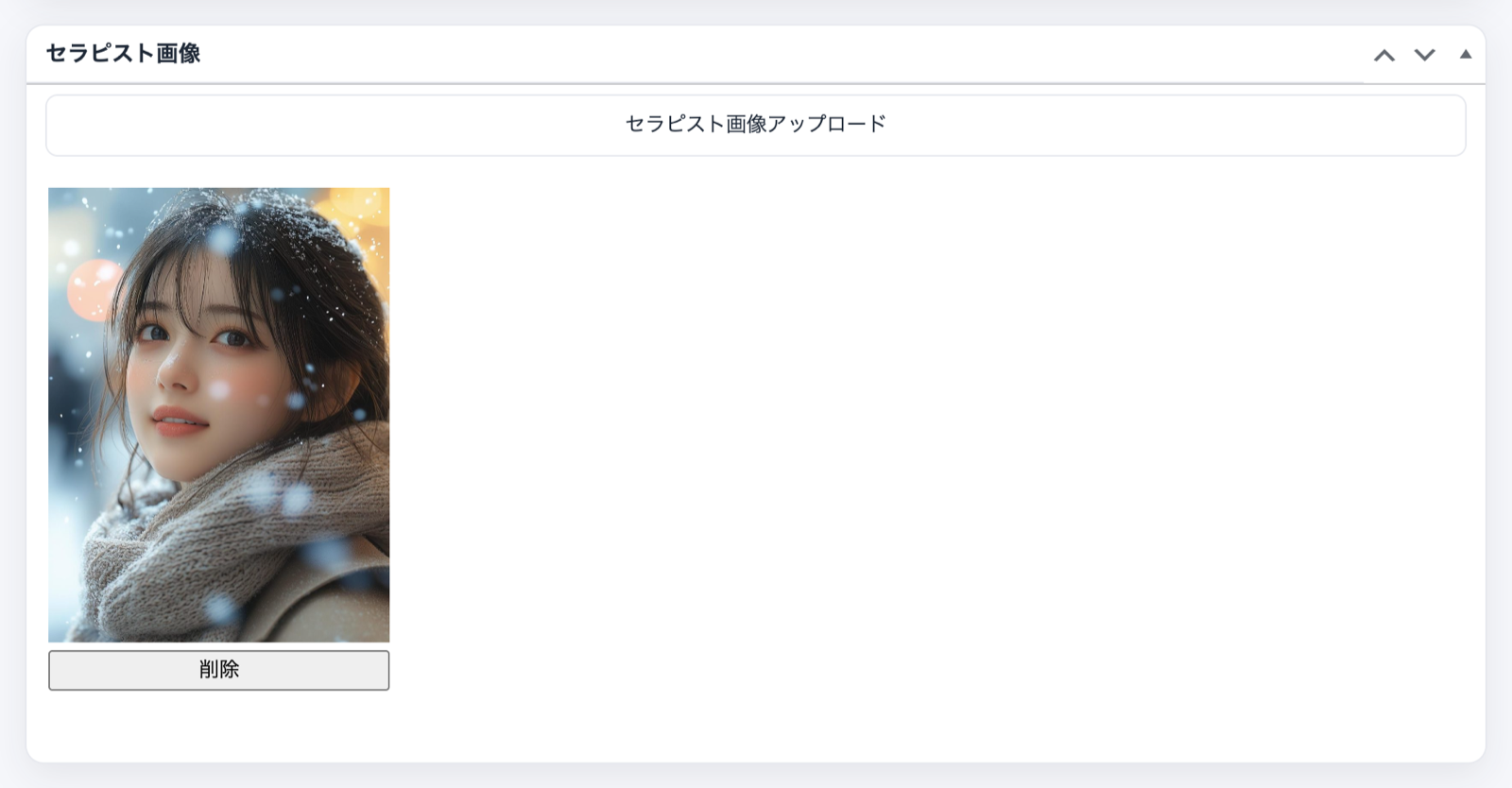 セラピスト画像ボックス。上部にセラピスト画像アップロードのボタン、下に登録済みの写真1枚と削除ボタン